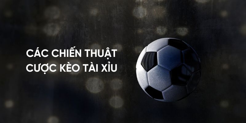 Kèo Tài Xỉu Là Gì? Tìm Hiểu Về Các Loại Kèo Phổ Biến Nhất Tại 789WIN 4 Các chiến thuật cược kèo tài xỉu