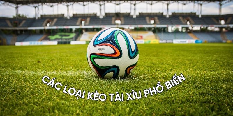 Kèo Tài Xỉu Là Gì? Tìm Hiểu Về Các Loại Kèo Phổ Biến Nhất Tại 789WIN 3 Các loại kèo tài xỉu phổ biến