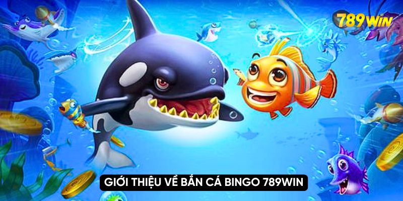 Khám Phá Chơi Game Bắn Cá Bingo 789WIN Nhận Liền Quà Khủng 3 Giới thiệu về bắn cá bingo 789WIN