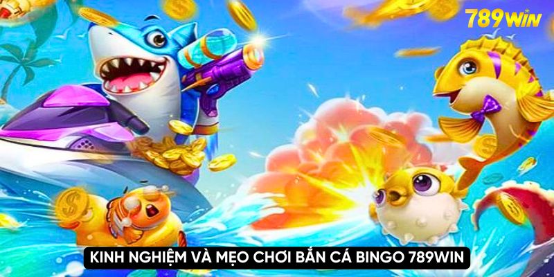 Khám Phá Chơi Game Bắn Cá Bingo 789WIN Nhận Liền Quà Khủng 2 Kinh nghiệm và mẹo chơi bắn cá bingo 789WIN